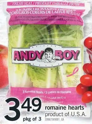 Fortinos ROMAINE HEARTS offer