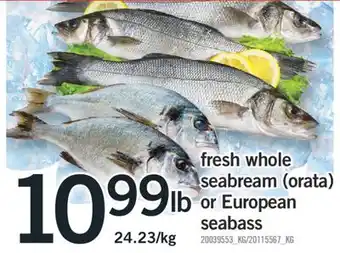 Fortinos FRESH WHOLE SEABREAM (ORATA) OR EUROPEAN SEABASS offer