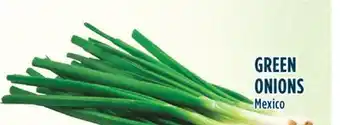 Marché Adonis GREEN ONIONS offer