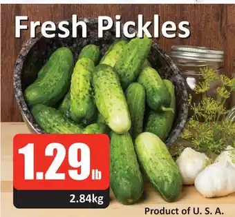 Starsky Fresh Pickles offer
