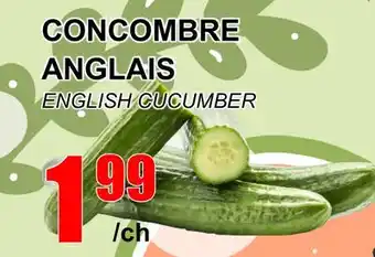 Marche Salaberry CONCOMBRE ANGLAIS offer