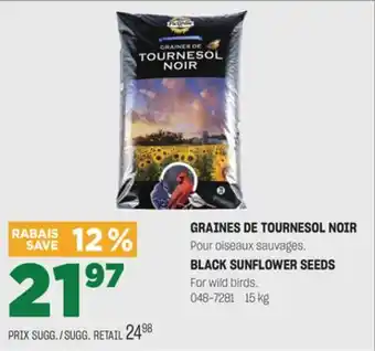 BMR GRAINES DE TOURNESOL NOIR offer