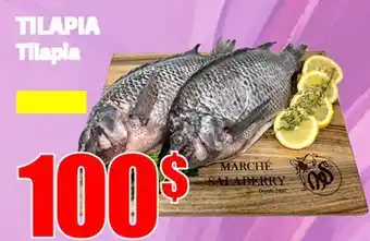 Marche Salaberry TILAPIA offer