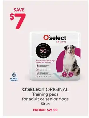 Mondou O'SELECT ORIGINAL Training pads for adult or senior dogs offer