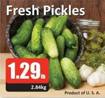 Starsky Fresh Pickles offer