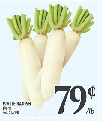 Al Premium Food Mart WHITE RADISH offer