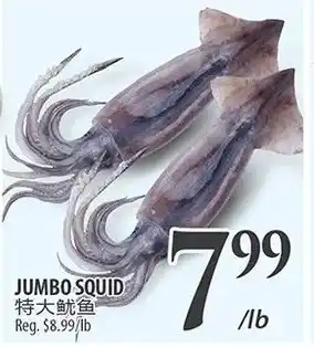 Al Premium Food Mart JUMBO SQUID offer