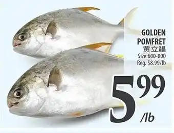 Al Premium Food Mart GOLDEN POMFRET offer