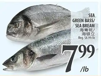 Al Premium Food Mart SEA GREEN BASS/ SEA BREAM offer