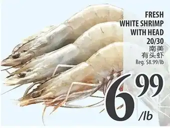 Al Premium Food Mart FRESH WHITE SHRIMP WITH HEAD offer