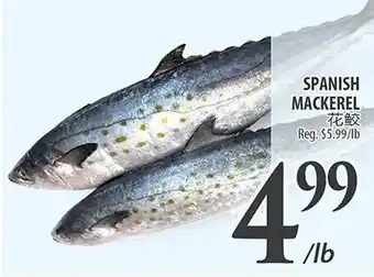 Al Premium Food Mart SPANISH MACKEREL offer