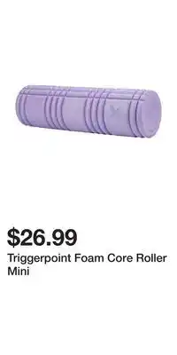 Sport Chek Triggerpoint Foam Core Roller Mini offer