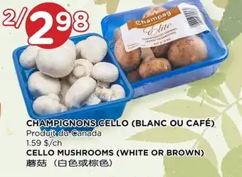 Kim Phat CELLO MUSHROOMS (WHITE OR BROWN) offer