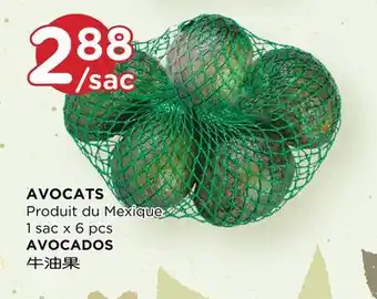 Kim Phat AVOCADOS offer