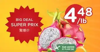 Kim Phat DRAGON FRUIT offer