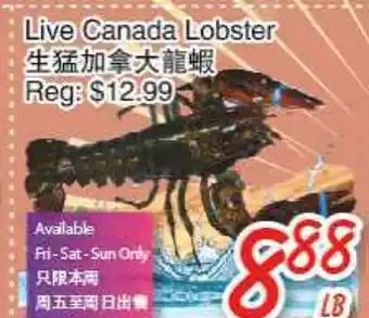 Foody Mart Live Canada Lobster offer