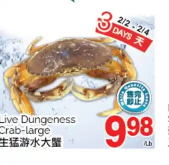 T&T Supermarket LIVE DUNGENESS CRAB-LARGE offer