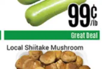 Nations Fresh Foods Opo Squash offer