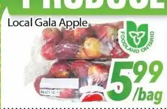 Bestco Food Mart Local Gala Apple offer
