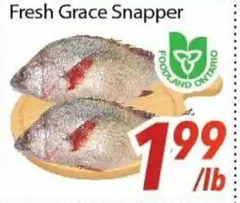 Bestco Food Mart Fresh Grace Snapper offer