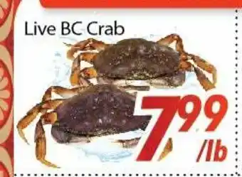Bestco Food Mart Live BC Crab offer