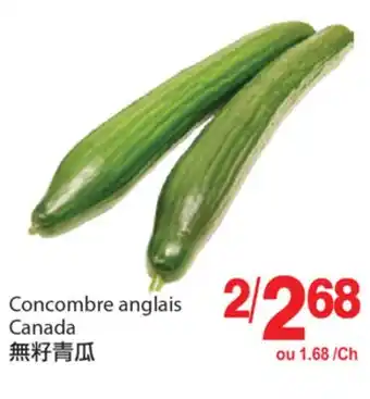 T&T Supermarket CONCOMBRE ANGLAIS offer
