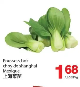 T&T Supermarket POUSSESS BOK CHOY DE SHANGHAI offer
