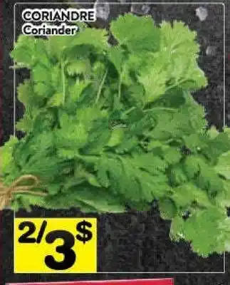 Supermarché PA Coriander offer
