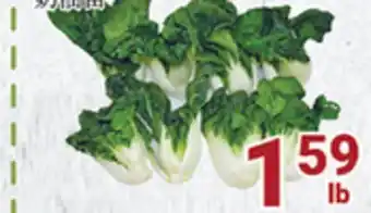 Oceans Fresh Food Market Baby Nai Yu Bok Choy offer