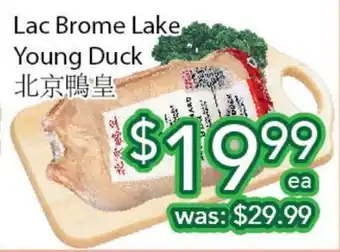 Ample Food Market Lac Brome Lake Young Duck offer