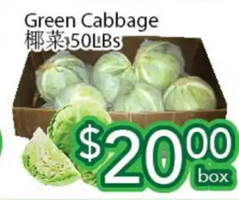 Ample Food Market Green Cabbage offer