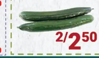 Oceans Fresh Food Market Medium English Cucumber offer