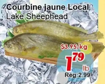 Marche C&T Lake Sheephead offer