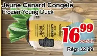 Frozen Young Duck