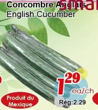 Marche C&T English Cucumber offer