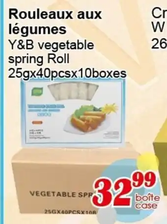 Y&B vegetable spring Roll 25gx40pcsx10boxes