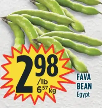 Marché Adonis FAVA BEAN offer