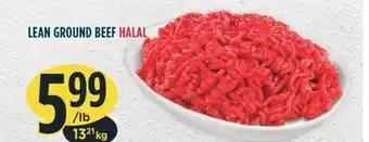 Marché Adonis LEAN GROUND BEEF HALAL offer
