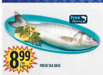 Marché Adonis FRESH SEA BASS offer