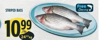 Marché Adonis STRIPED BASS offer