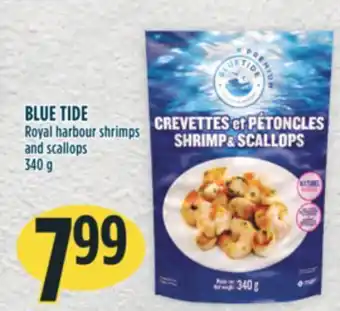 Marché Adonis BLUE TIDE Royal harbour shrimps and scallops offer