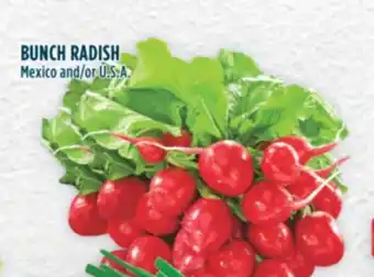 Marché Adonis BUNCH RADISH offer