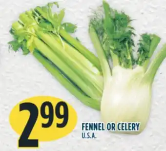 Marché Adonis FENNEL OR CELERY offer