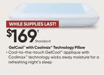 Sleep Country GelCool with Coolmax Technology Pillow offer