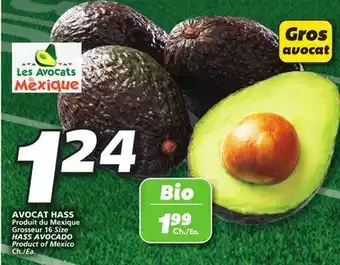 IGA HASS AVOCADO offer