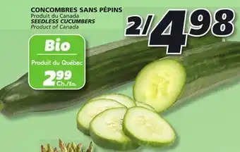IGA SEEDLESS CUCUMBERS offer