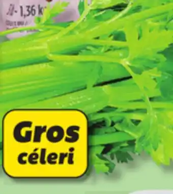 IGA CELERY offer