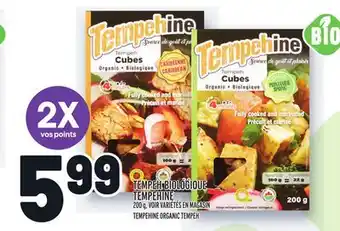 Metro TEMPEH BIOLOGIQUE TEMPEHINE | TEMPEHINE ORGANIC TEMPEH offer