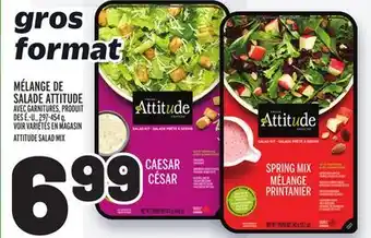 Metro MÉLANGE DE SALADE ATTITUDE | ATTITUDE SALAD MIX offer