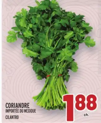Metro CORIANDRE | CILANTRO offer